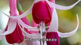 &quot;花学&quot;新视角：周雨彤的独特绽放