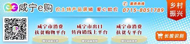 澳门管家婆一肖一码一中一，2024年10月18日湖北省纪委监委最新通报_词语深度剖析解析落实_网页版2ww26l