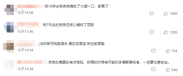 新澳好彩免费资料查询，2024年10月18日新闻多一度丨再现奈良鹿伤人，在国外看到这些“萌物”千万别招惹_词语深度剖析解析落实_网页版t08sur