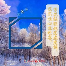 2024新澳开奖结果，2024年10月20日一半金黄一半雪白，内蒙古限时福利在这里~_国产化作答解释落实_网页版wlltt7