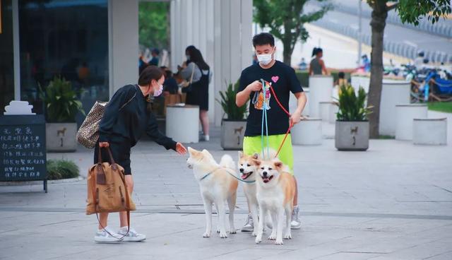 2024今晚新澳门开特马，2024年10月20日太过分！徐汇滨江这一幕网友：风气就是被这些人带坏的！_动态词语解释落实_战略版6wet9o