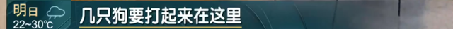 2024今晚新澳门开特马，2024年10月20日太过分！徐汇滨江这一幕网友：风气就是被这些人带坏的！_动态词语解释落实_战略版6wet9o