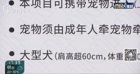 2024今晚新澳门开特马，2024年10月20日太过分！徐汇滨江这一幕网友：风气就是被这些人带坏的！_动态词语解释落实_战略版6wet9o