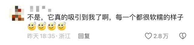 黄大仙精准内部三肖三码，2024年10月20日为什么这辈子一定要去趟山西？_经典答案落实zie5ux