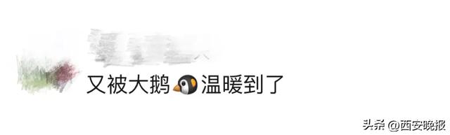 澳门一肖一码必中一肖，2024年10月20日微信新功能上线_动态词语解释落实_战略版rz41xr