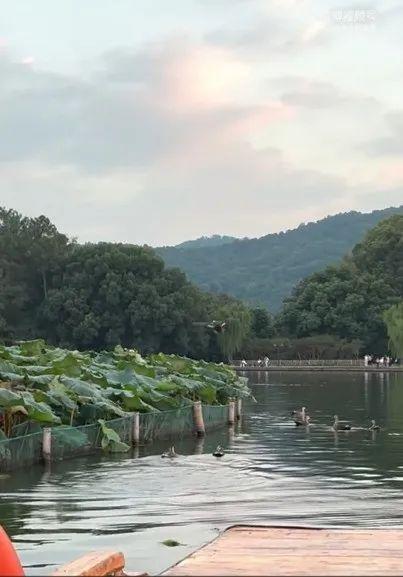 倪夏莲分享西湖美景，“在这里太幸福了”