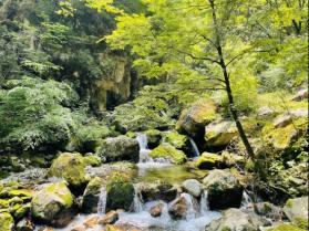 “守护湿地·美好未来”田峪河国家湿地公园秦岭动植物科普与标本鉴赏媒体行圆满举办