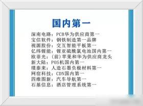 全球第一、国内第一的科技龙头企业盘点！A股顶尖科技龙头盘点！